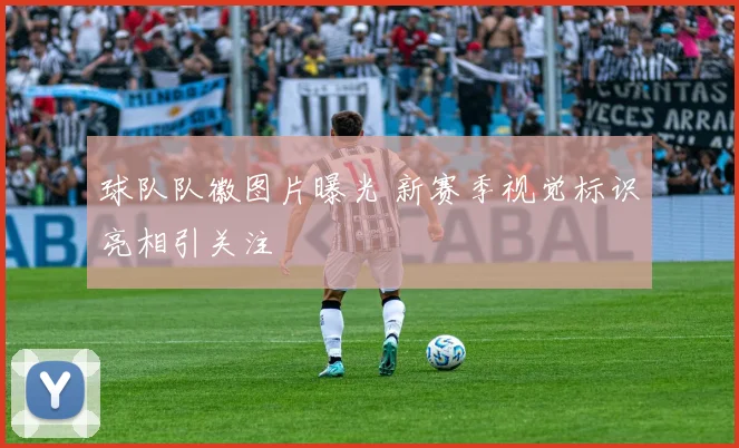 球队队徽图片曝光 新赛季视觉标识亮相引关注