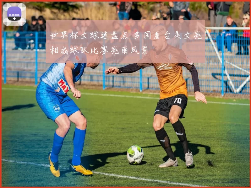 世界杯女球迷盘点 多国看台美女亮相成球队比赛亮丽风景