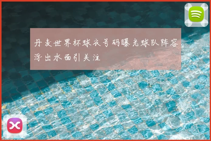 丹麦世界杯球衣号码曝光球队阵容浮出水面引关注