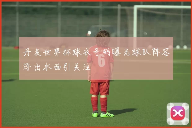 丹麦世界杯球衣号码曝光球队阵容浮出水面引关注